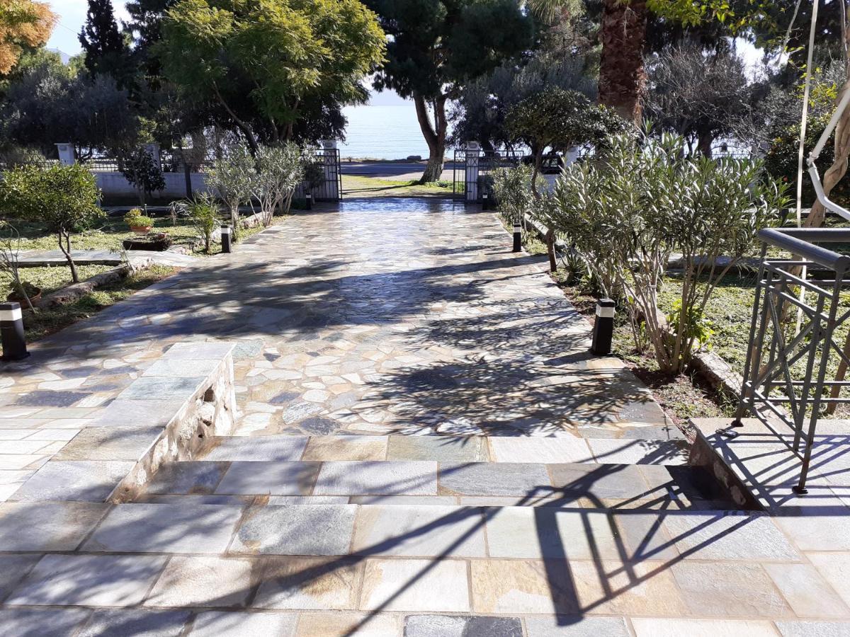 Galaxídhion Elea Guesthouse מראה חיצוני תמונה