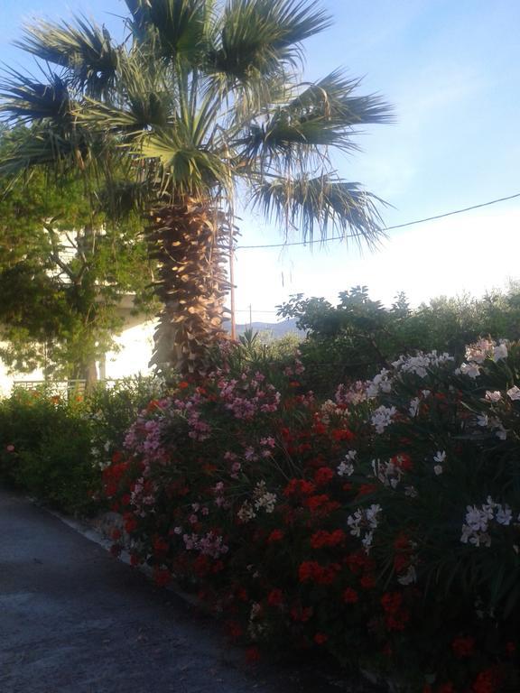 Galaxídhion Elea Guesthouse מראה חיצוני תמונה