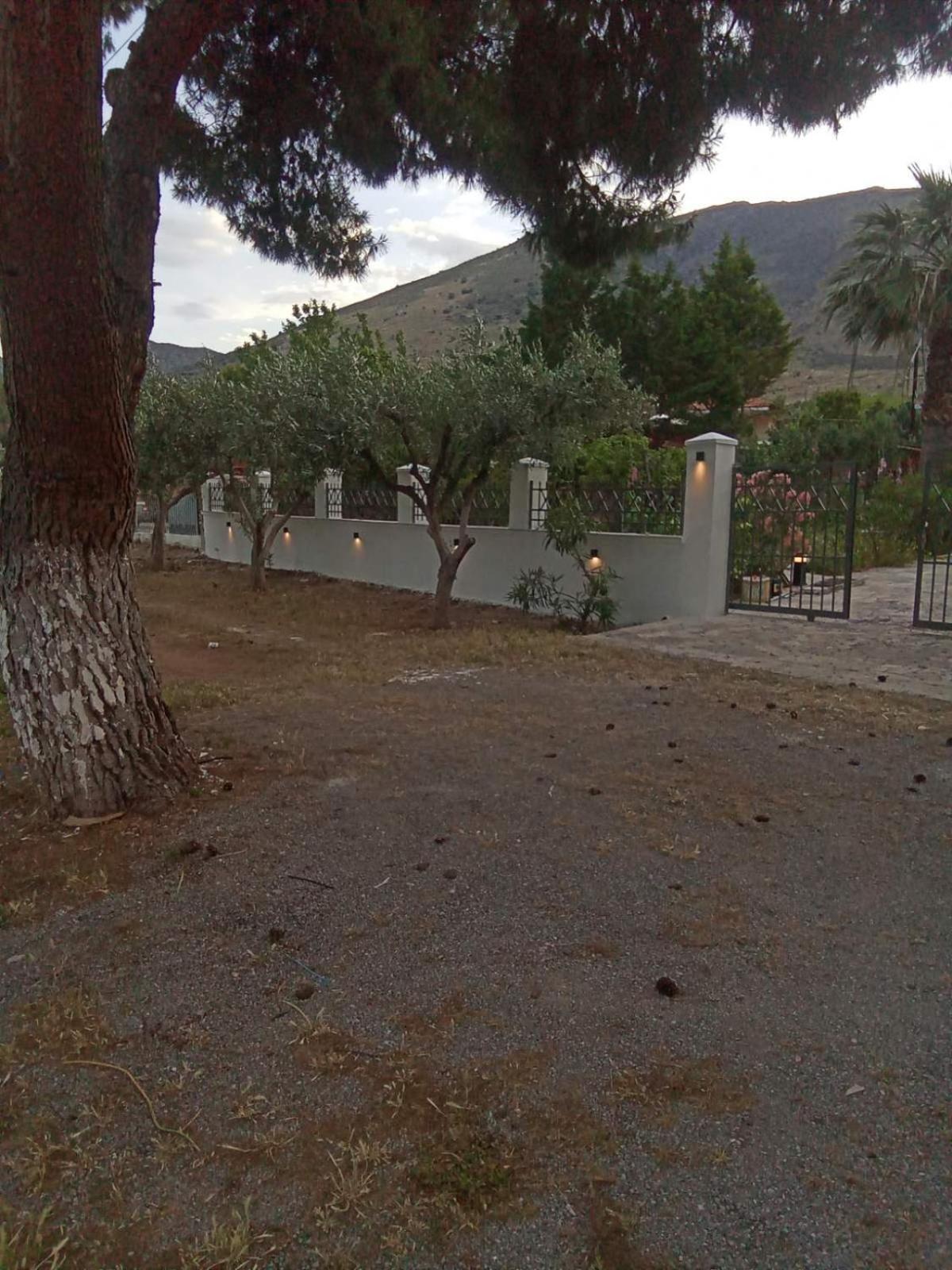 Galaxídhion Elea Guesthouse מראה חיצוני תמונה