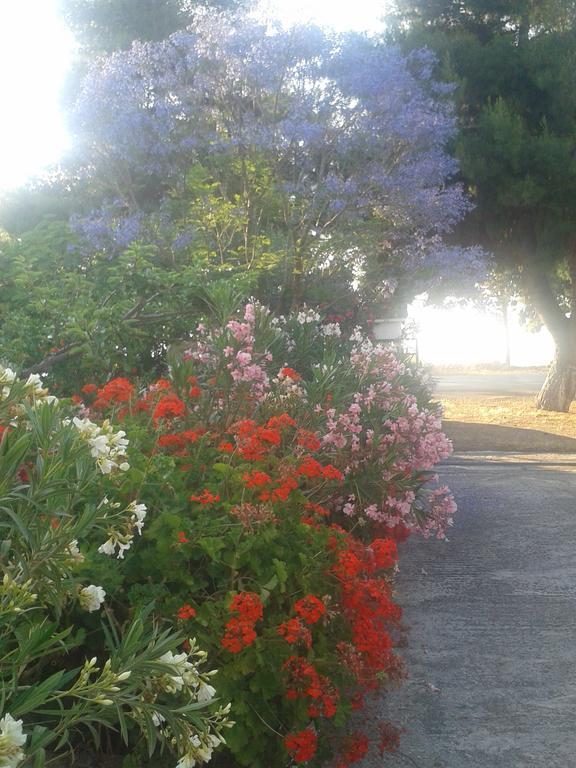 Galaxídhion Elea Guesthouse מראה חיצוני תמונה