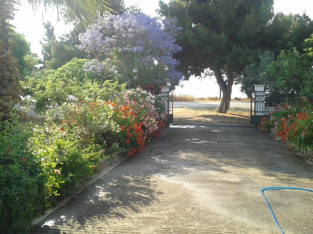 Galaxídhion Elea Guesthouse מראה חיצוני תמונה