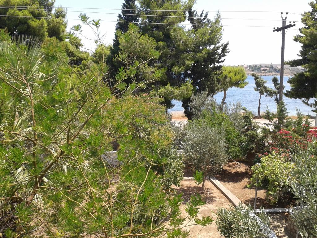 Galaxídhion Elea Guesthouse מראה חיצוני תמונה