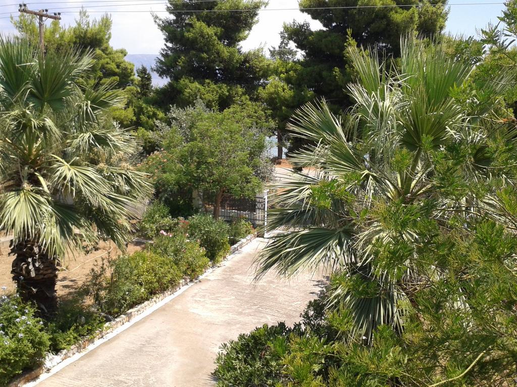 Galaxídhion Elea Guesthouse מראה חיצוני תמונה