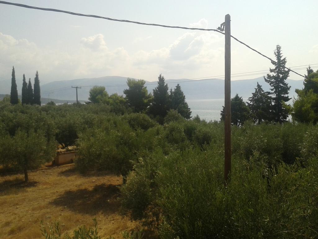 Galaxídhion Elea Guesthouse מראה חיצוני תמונה