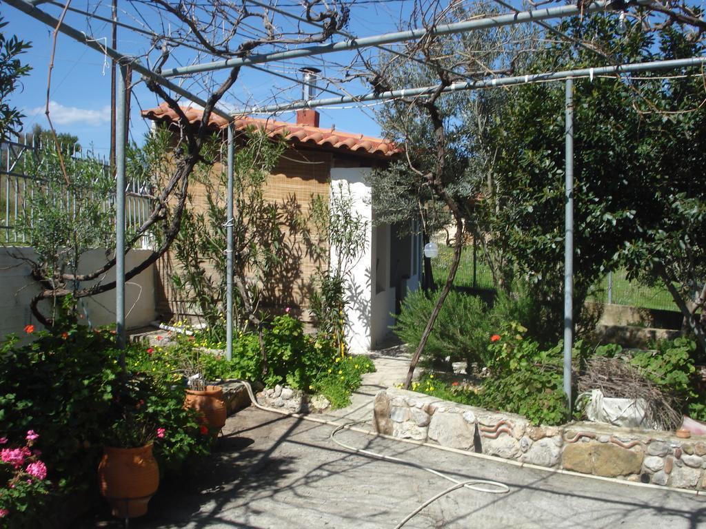 Galaxídhion Elea Guesthouse מראה חיצוני תמונה