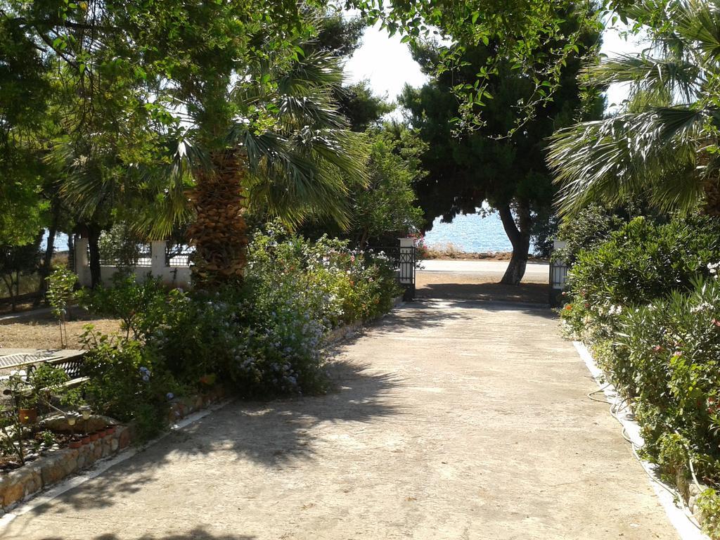 Galaxídhion Elea Guesthouse מראה חיצוני תמונה