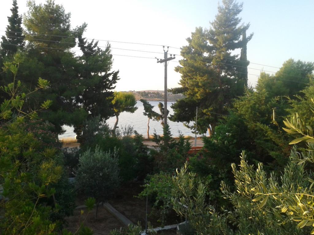 Galaxídhion Elea Guesthouse מראה חיצוני תמונה
