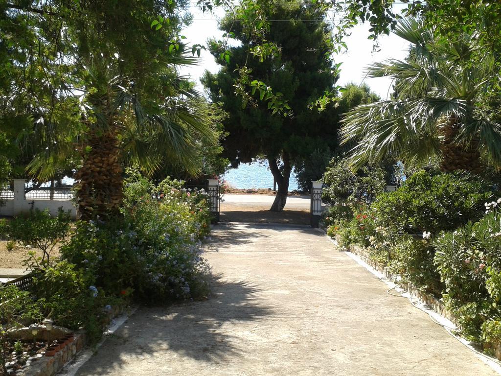 Galaxídhion Elea Guesthouse חדר תמונה