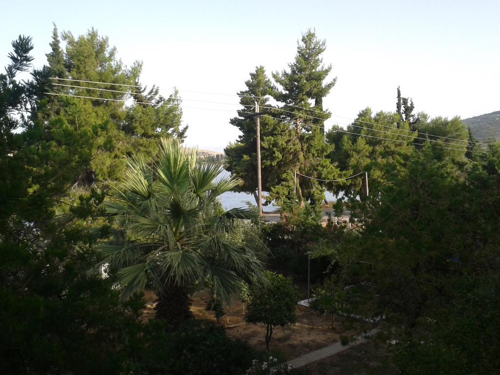 Galaxídhion Elea Guesthouse מראה חיצוני תמונה