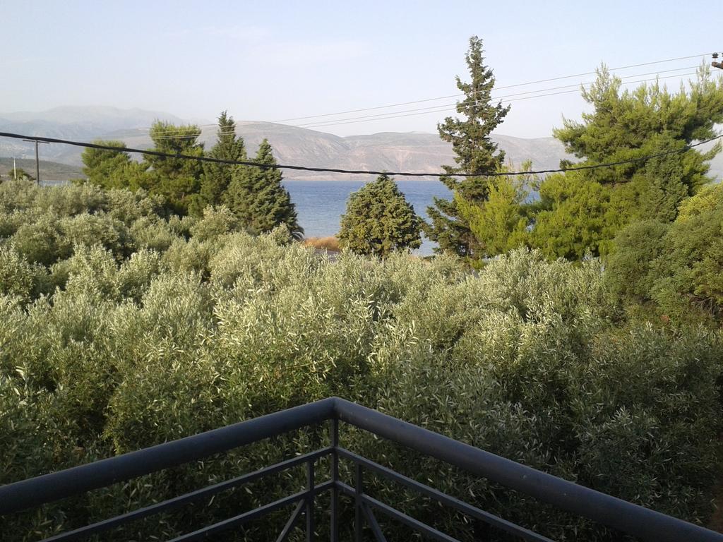 Galaxídhion Elea Guesthouse חדר תמונה