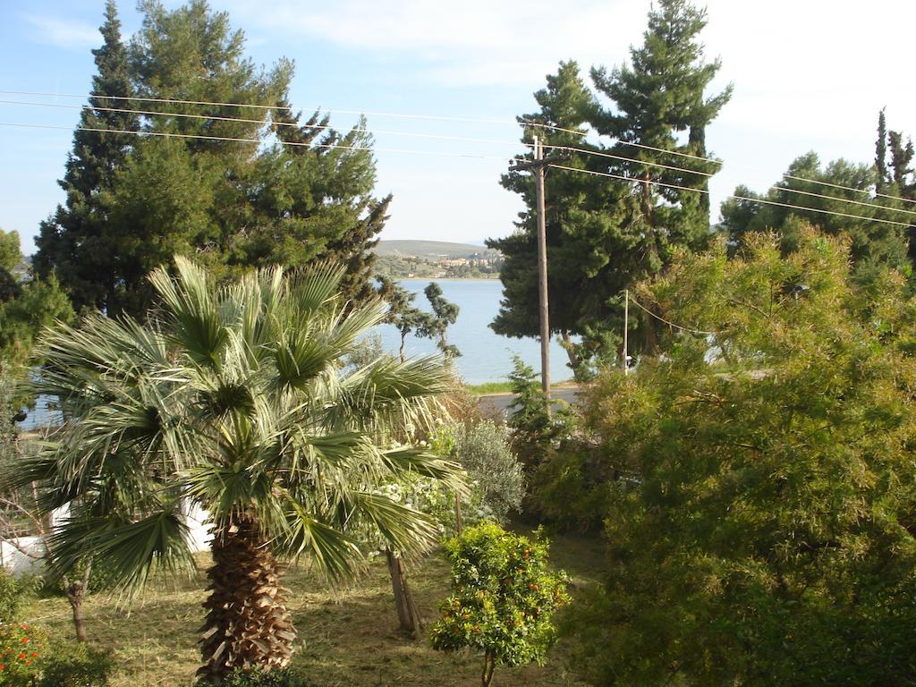Galaxídhion Elea Guesthouse מראה חיצוני תמונה