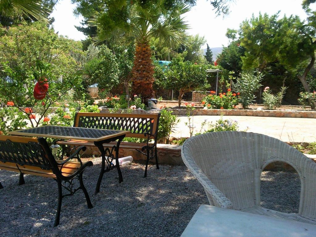 Galaxídhion Elea Guesthouse מראה חיצוני תמונה