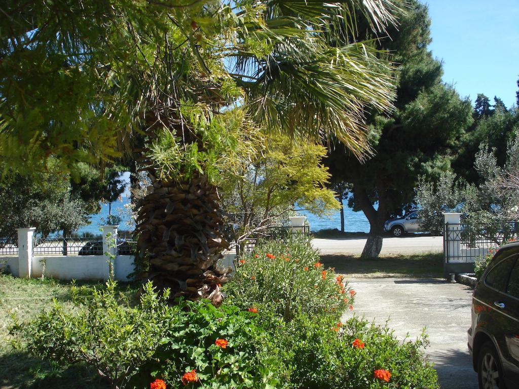 Galaxídhion Elea Guesthouse מראה חיצוני תמונה