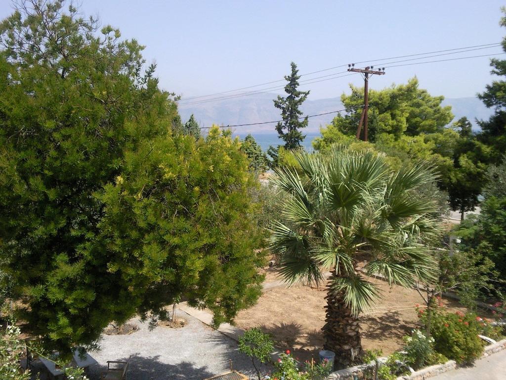 Galaxídhion Elea Guesthouse מראה חיצוני תמונה