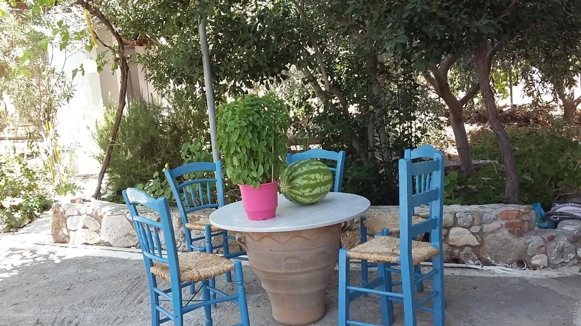 Galaxídhion Elea Guesthouse מראה חיצוני תמונה