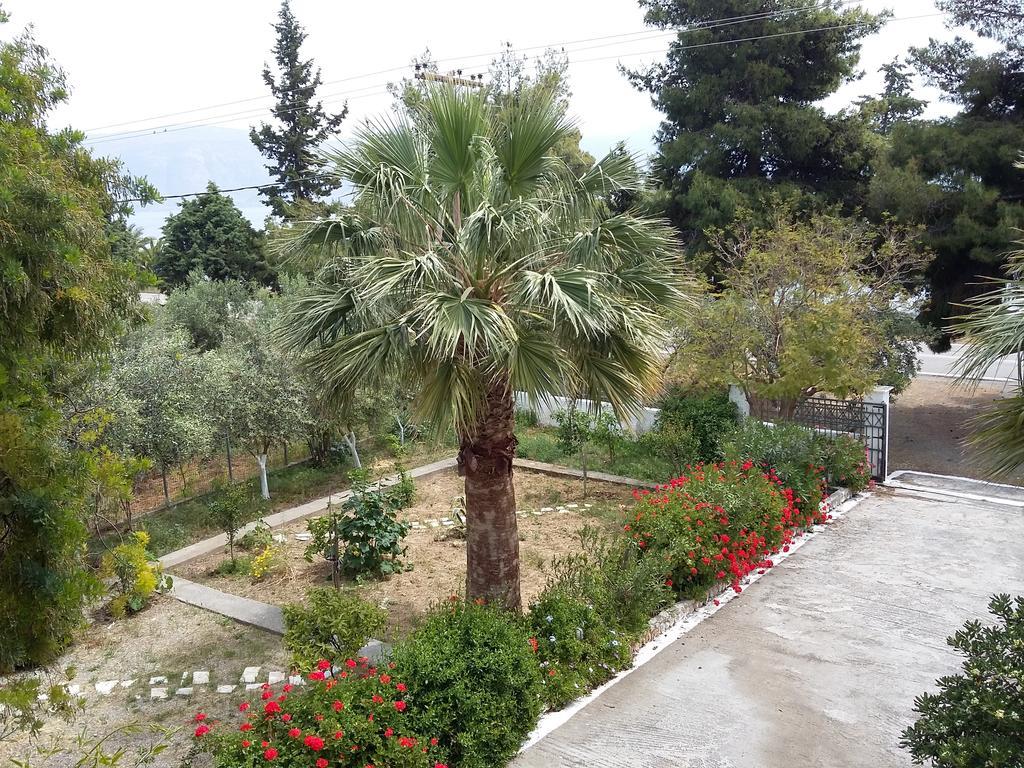 Galaxídhion Elea Guesthouse מראה חיצוני תמונה