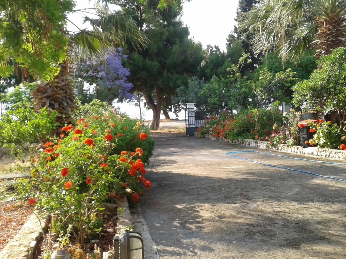 Galaxídhion Elea Guesthouse חדר תמונה