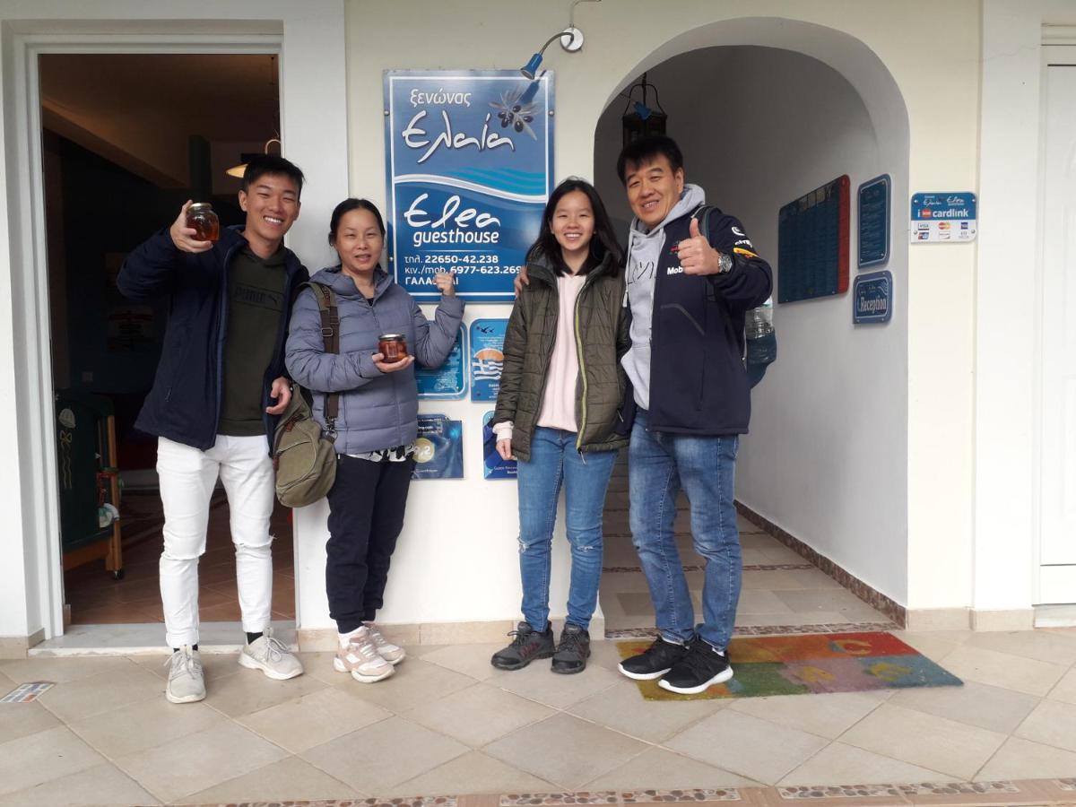 Galaxídhion Elea Guesthouse מראה חיצוני תמונה